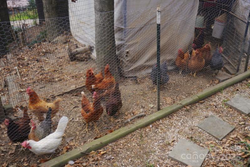 184 Pisgah Shadows Road