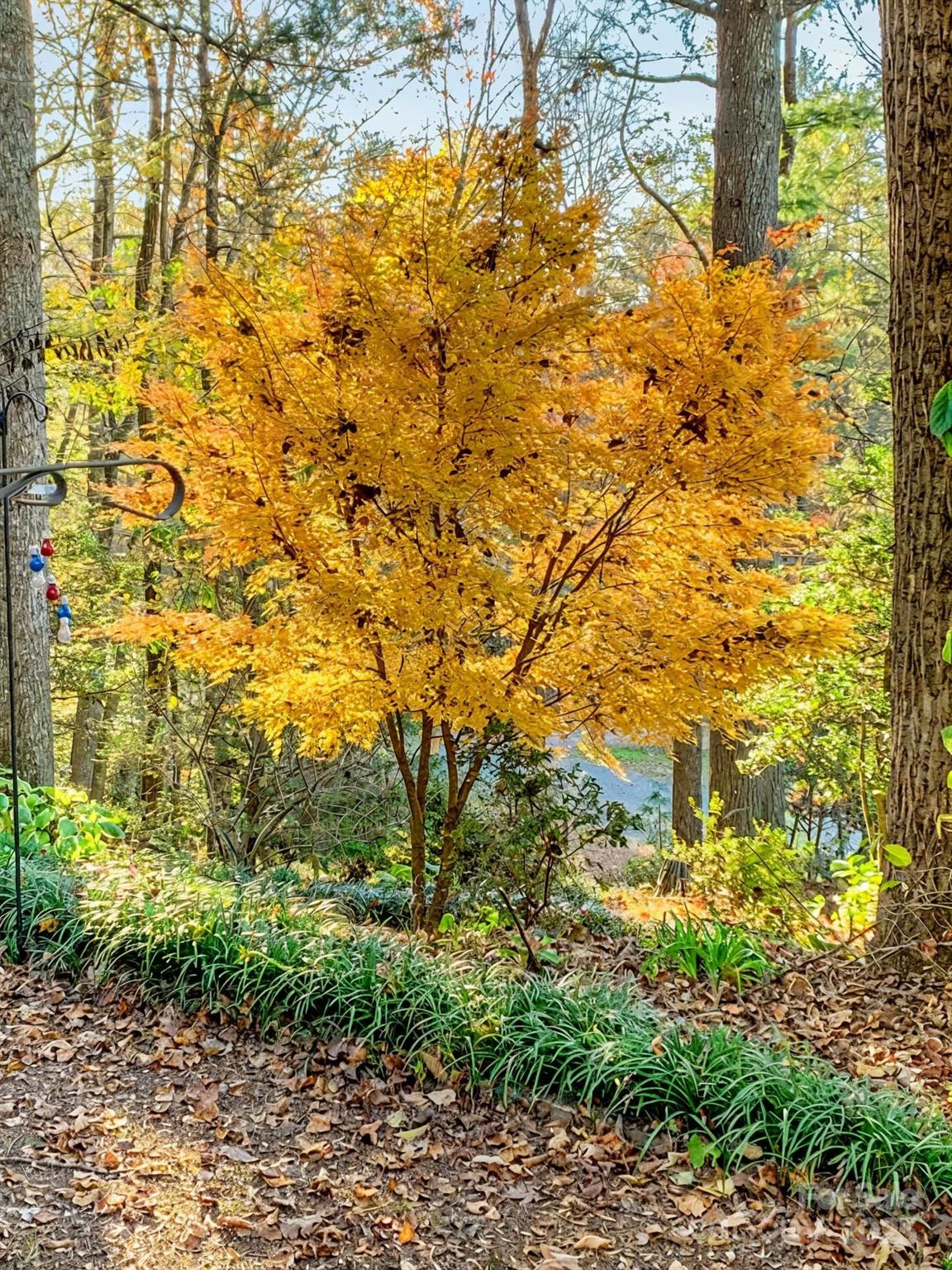 184 Pisgah Shadows Road