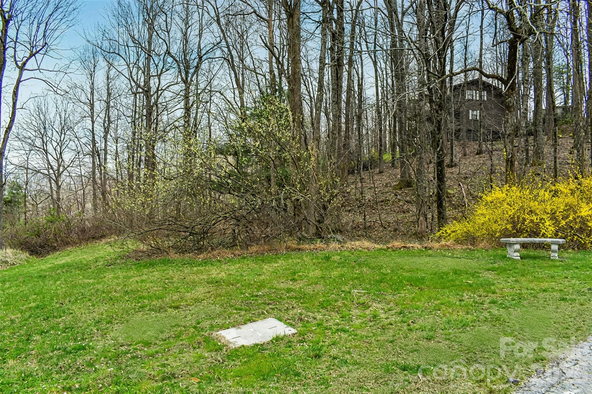 Wooded yard with a small elevated treehouse, green lawn, and bright yellow flowering shrubs.