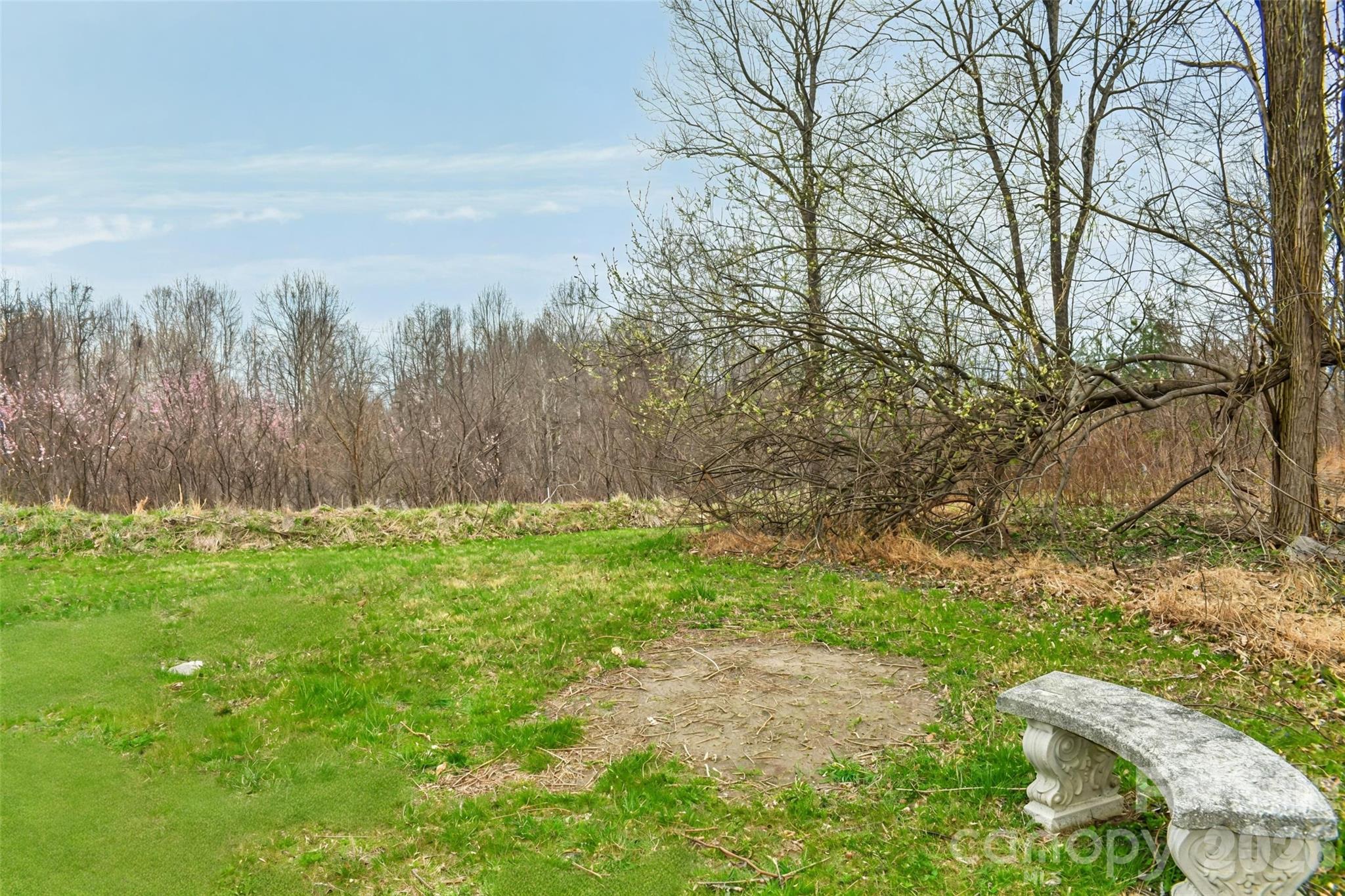 Grassy yard with a dirt patch, budding trees, woodland, and a curved stone bench.
