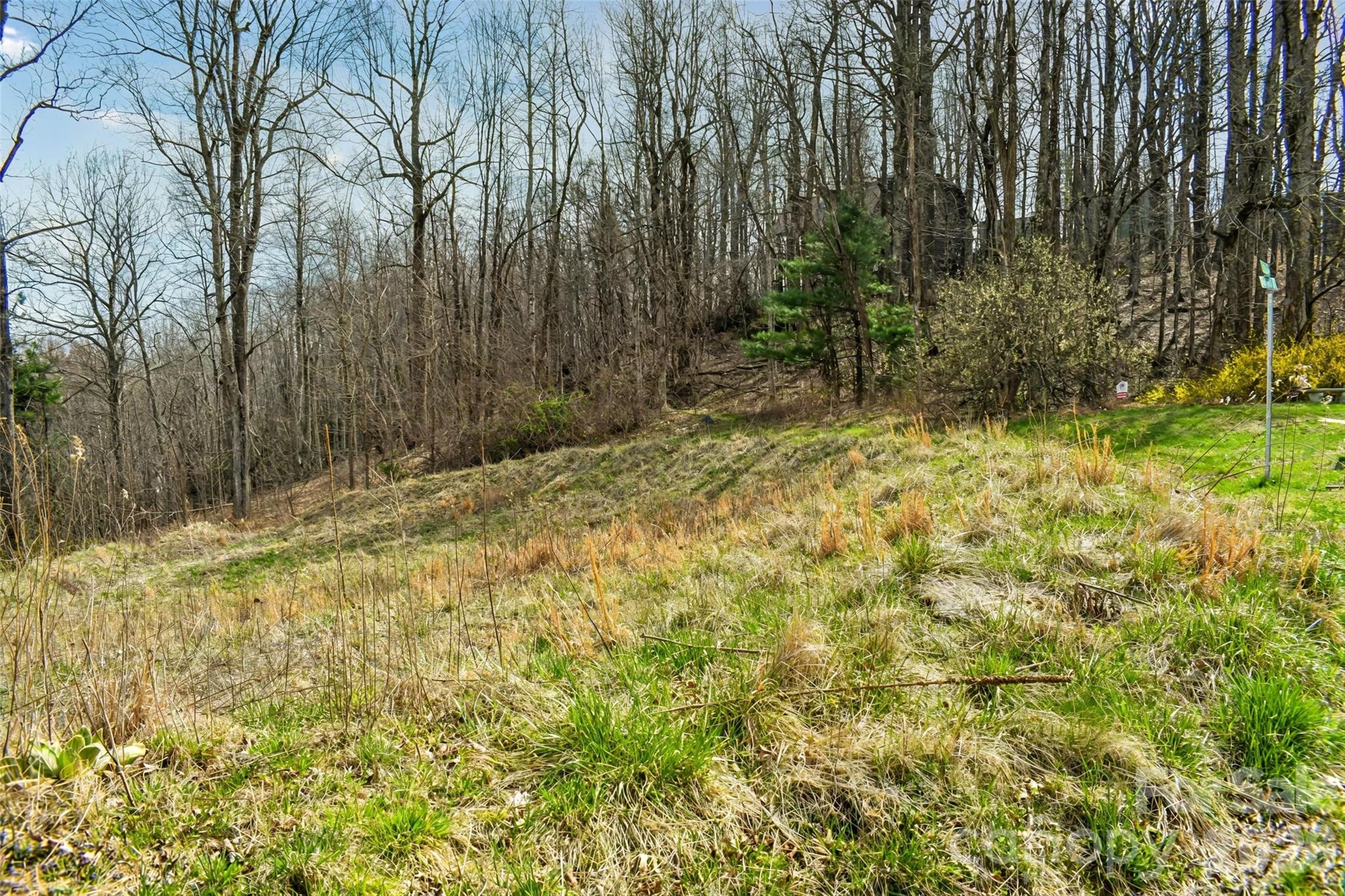 Sloping grassy lot bordered by leafless woods and a few evergreen trees.