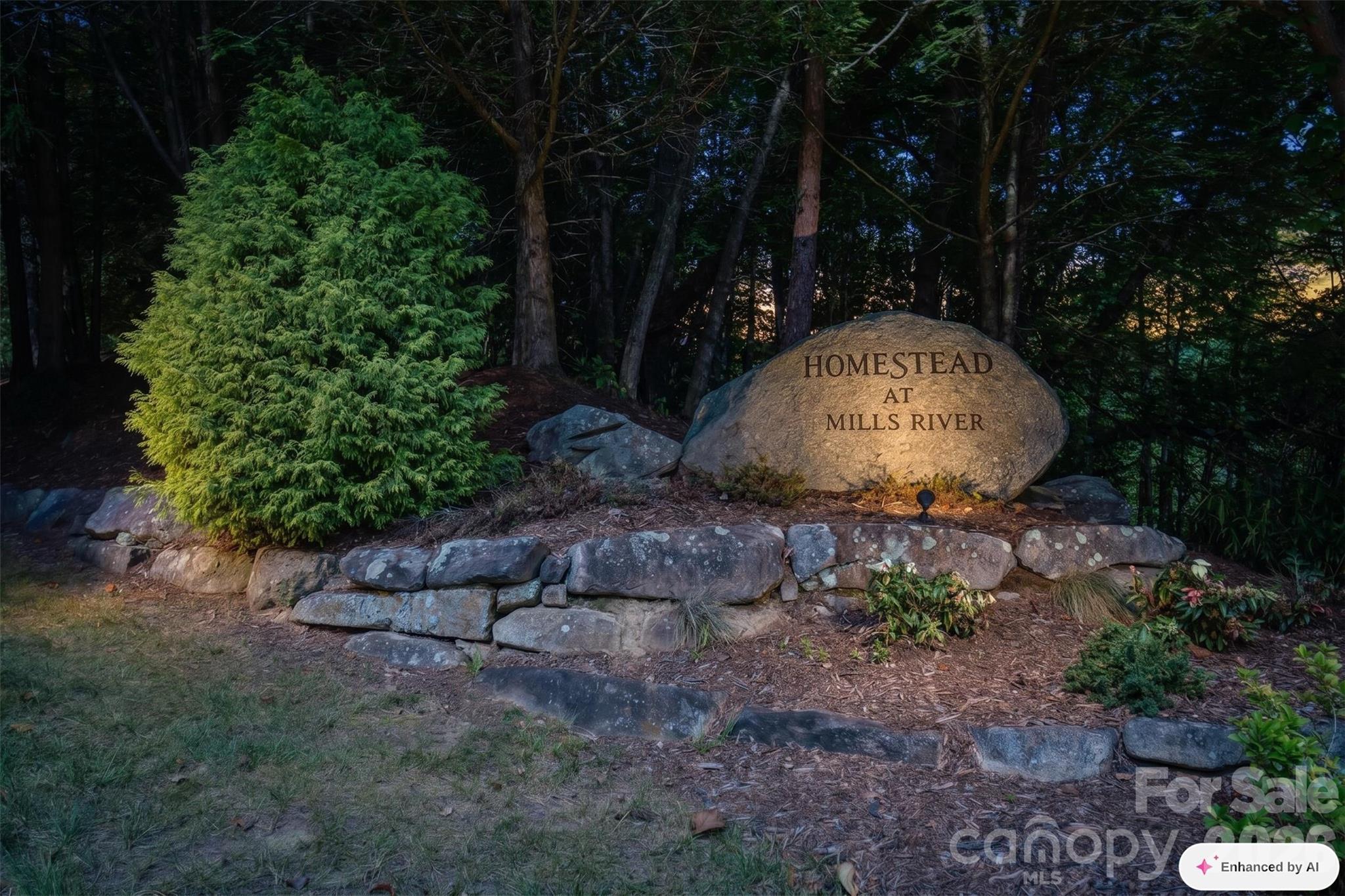 838 Mills River Way
