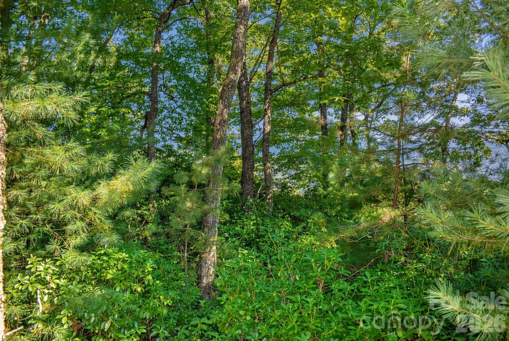 838 Mills River Way