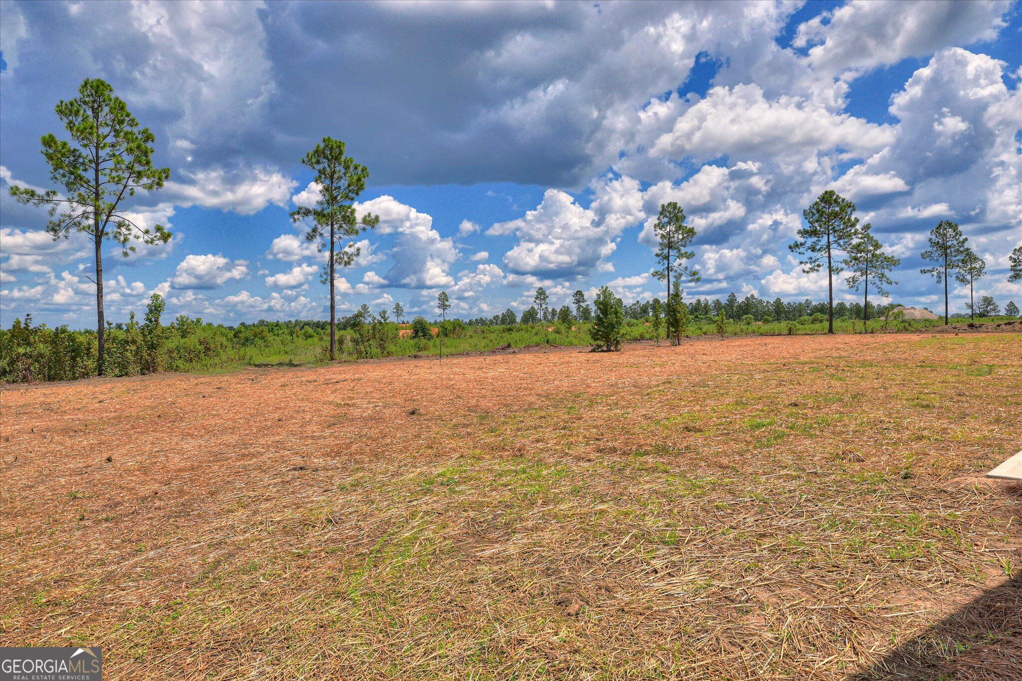 315 Livingston Bend