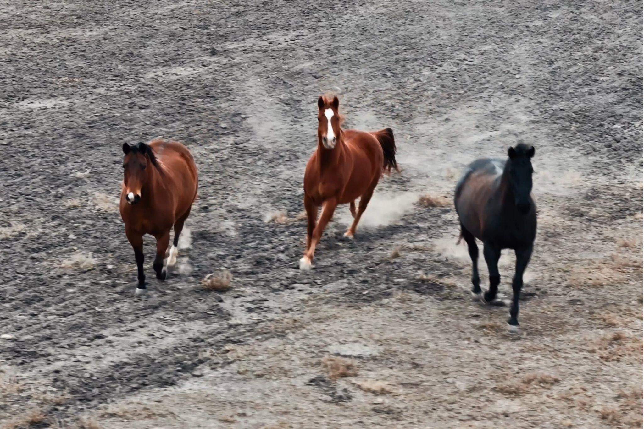 1274 County Road 2806