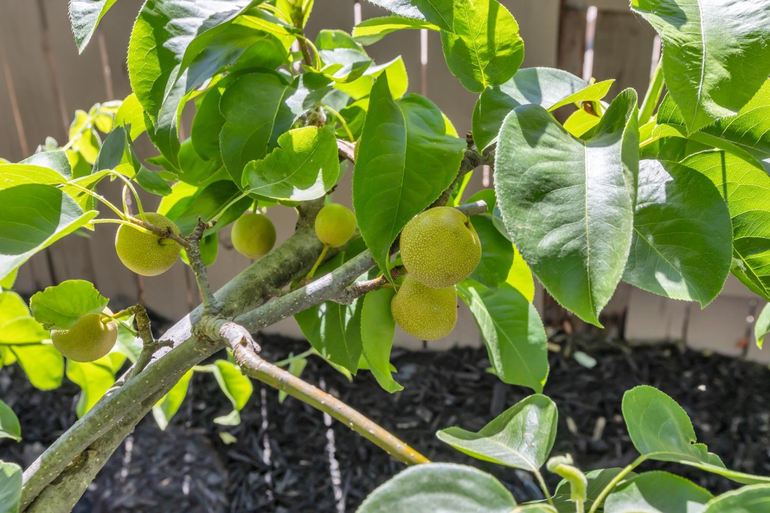 8436 ARROWROOT Circle