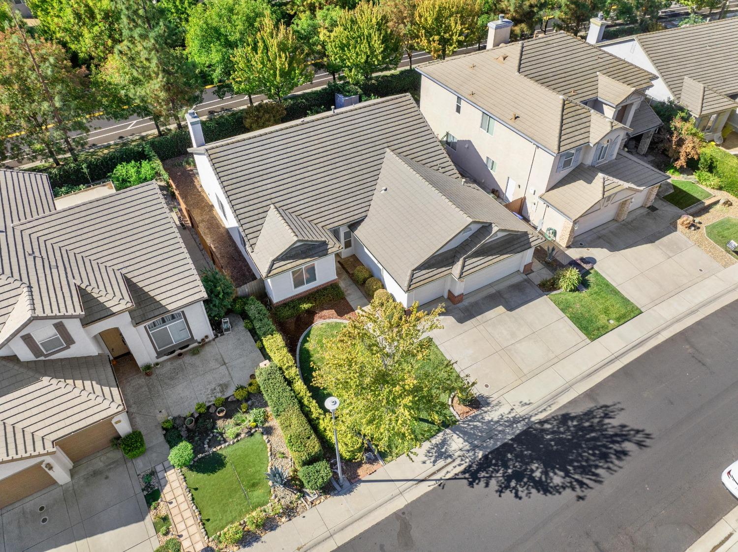 10244 Jenny Lynn Way