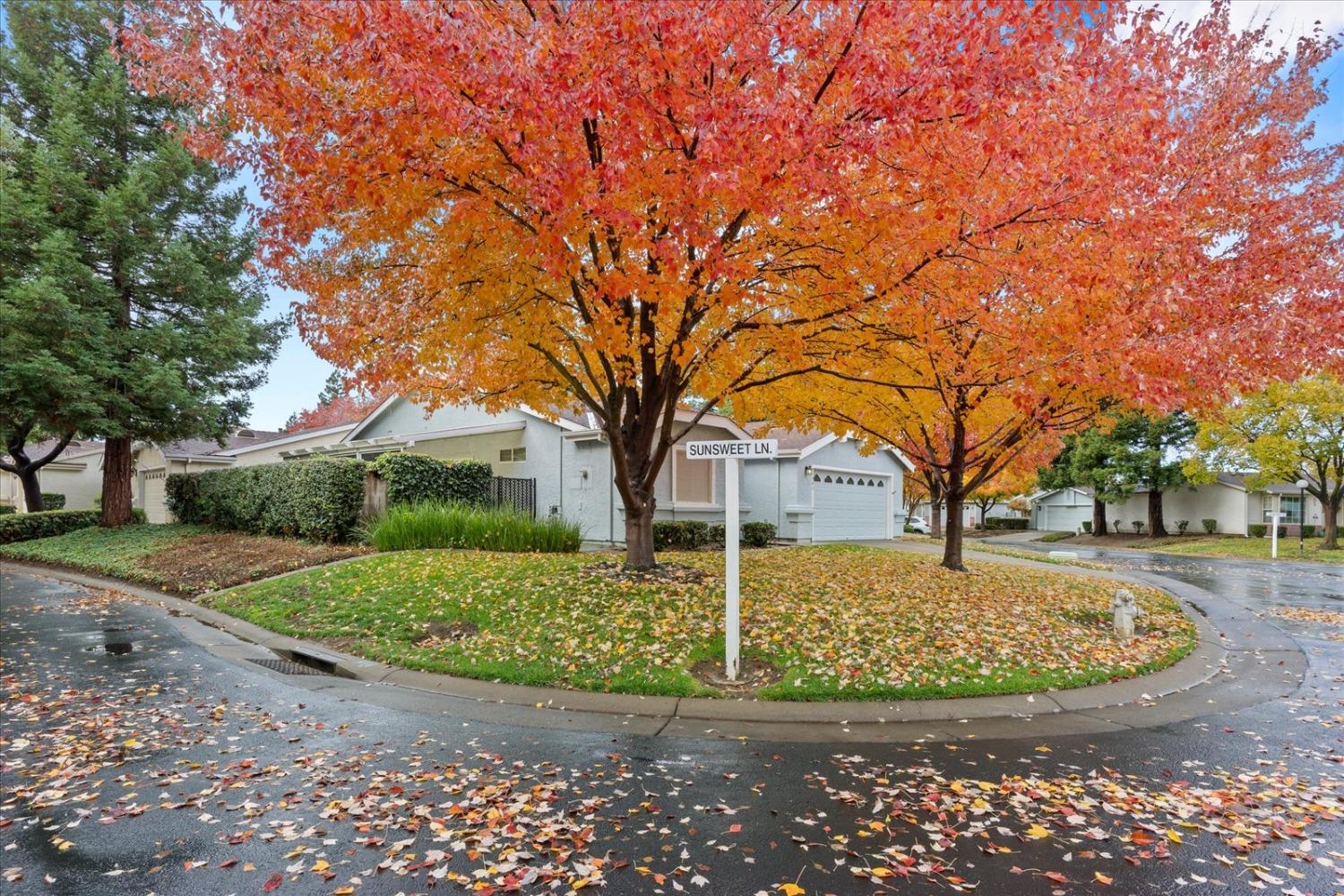 7598 Sunmore Lane