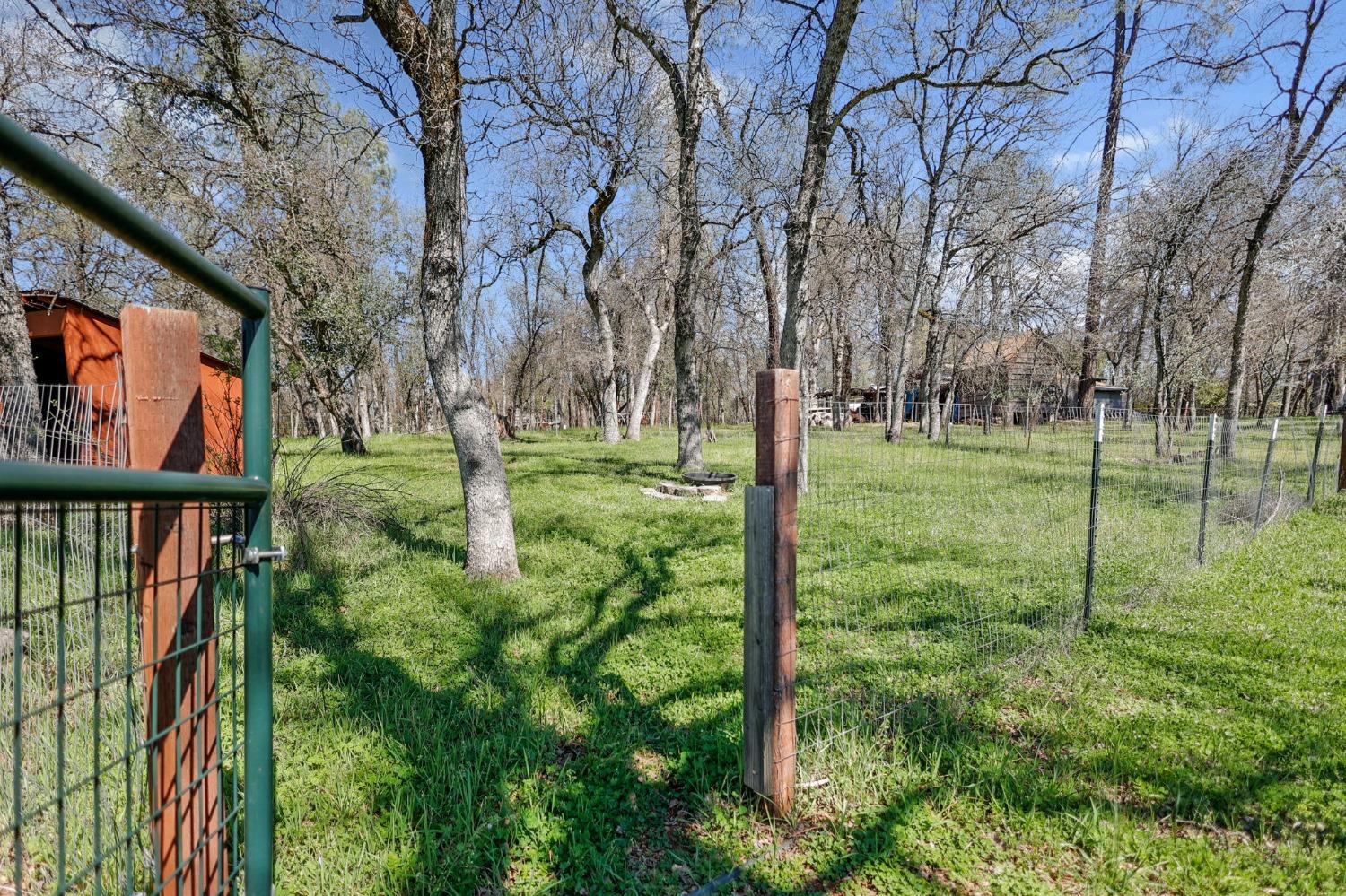 21520 Old Alturas Road