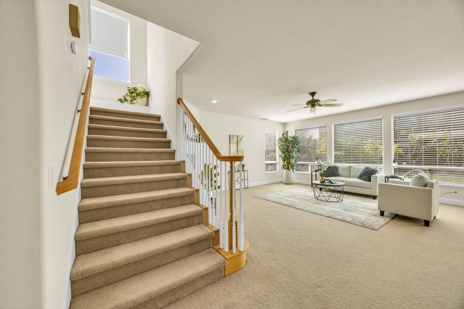 3640 BLACK OAK Drive