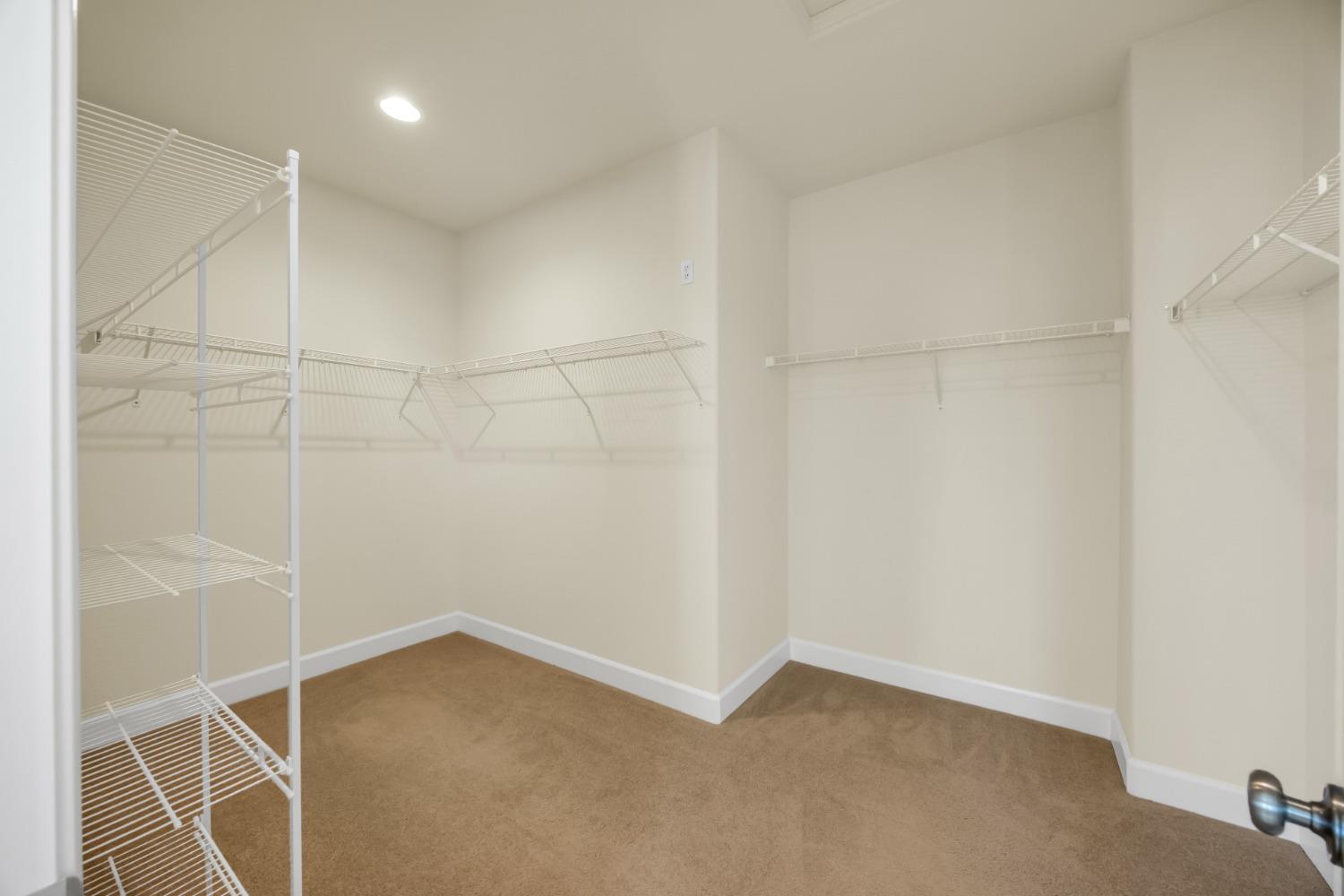 3640 BLACK OAK Drive