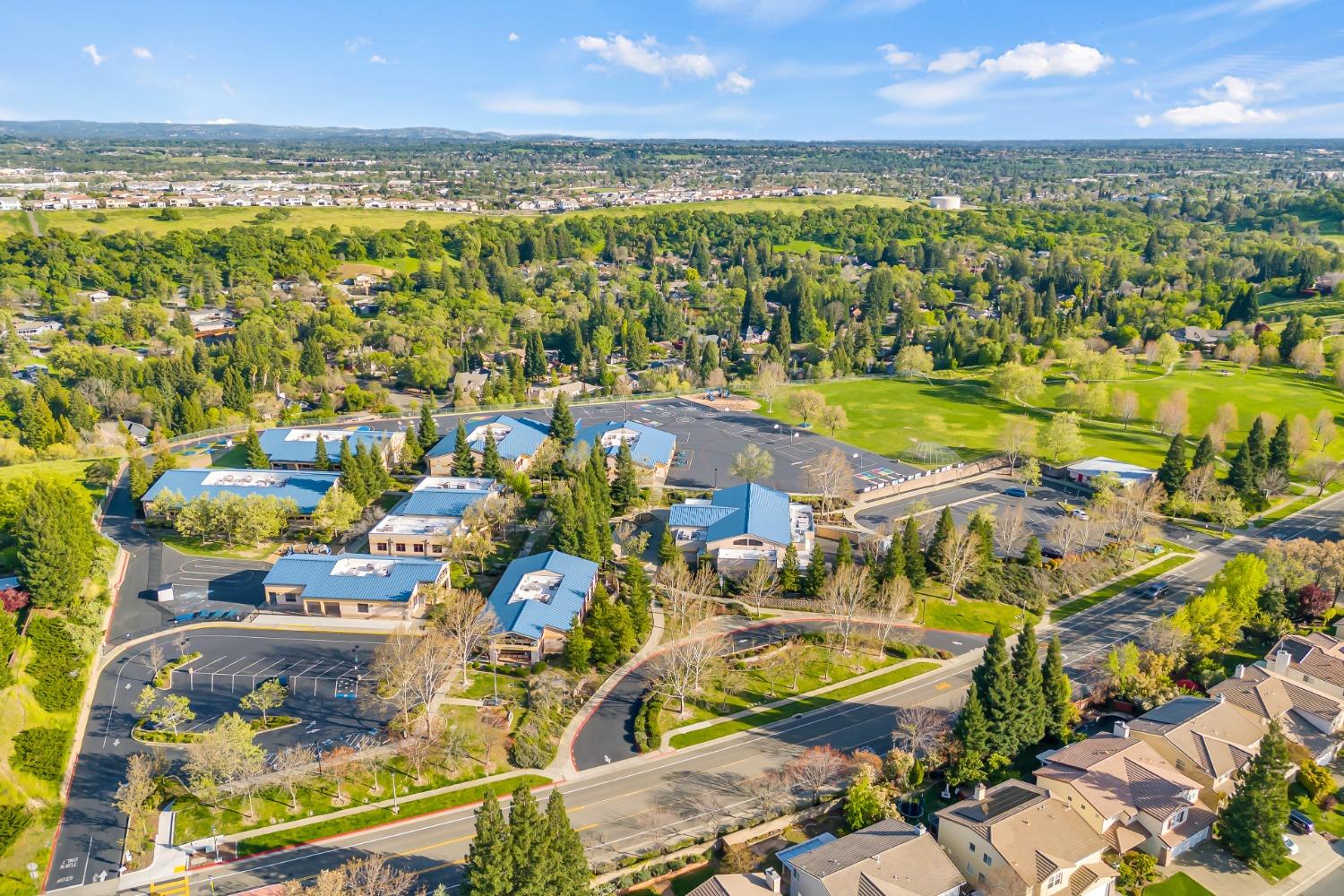 3640 BLACK OAK Drive