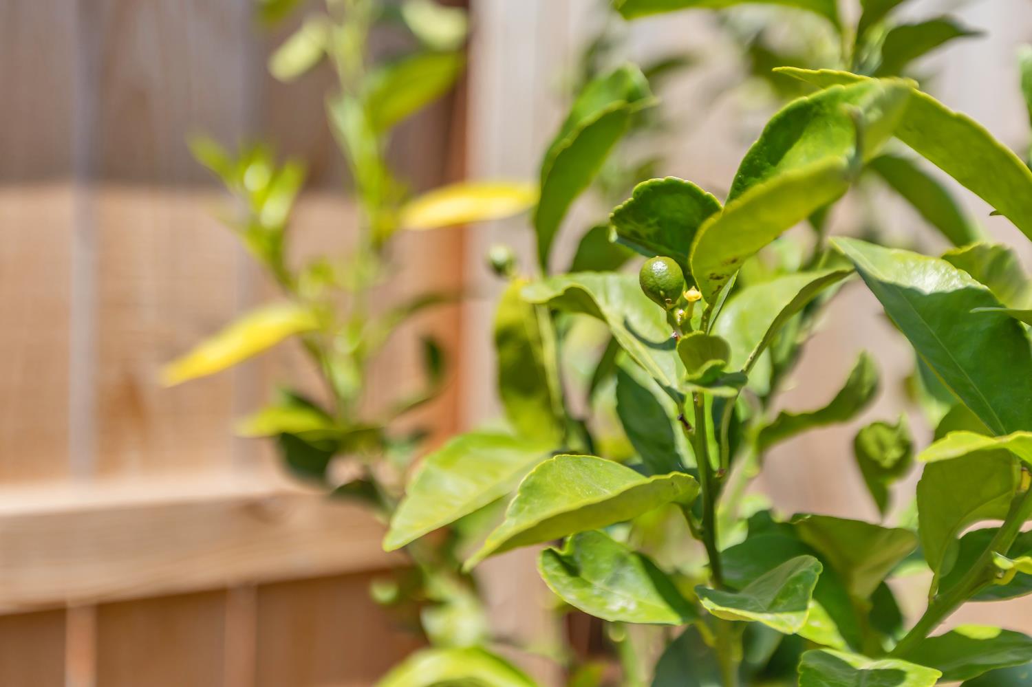 9901 JEFF HANDY Drive