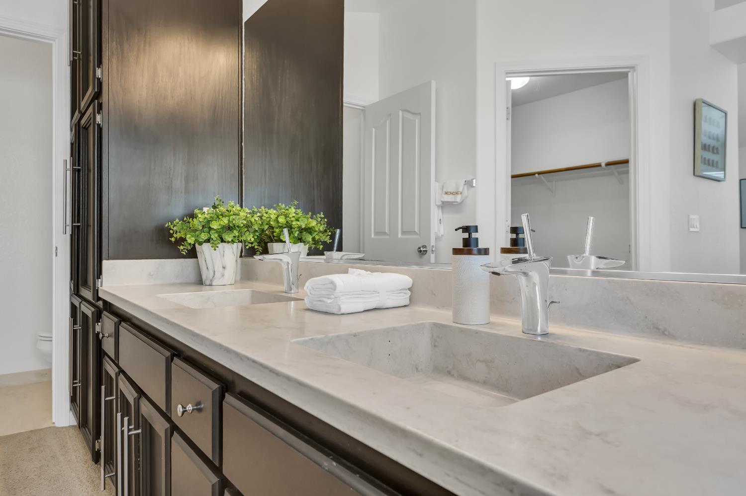 8746 SHASTA LILY Drive