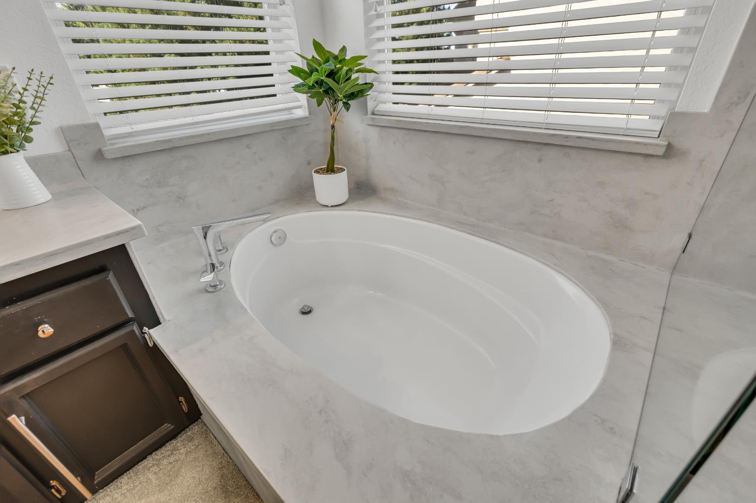 8746 SHASTA LILY Drive