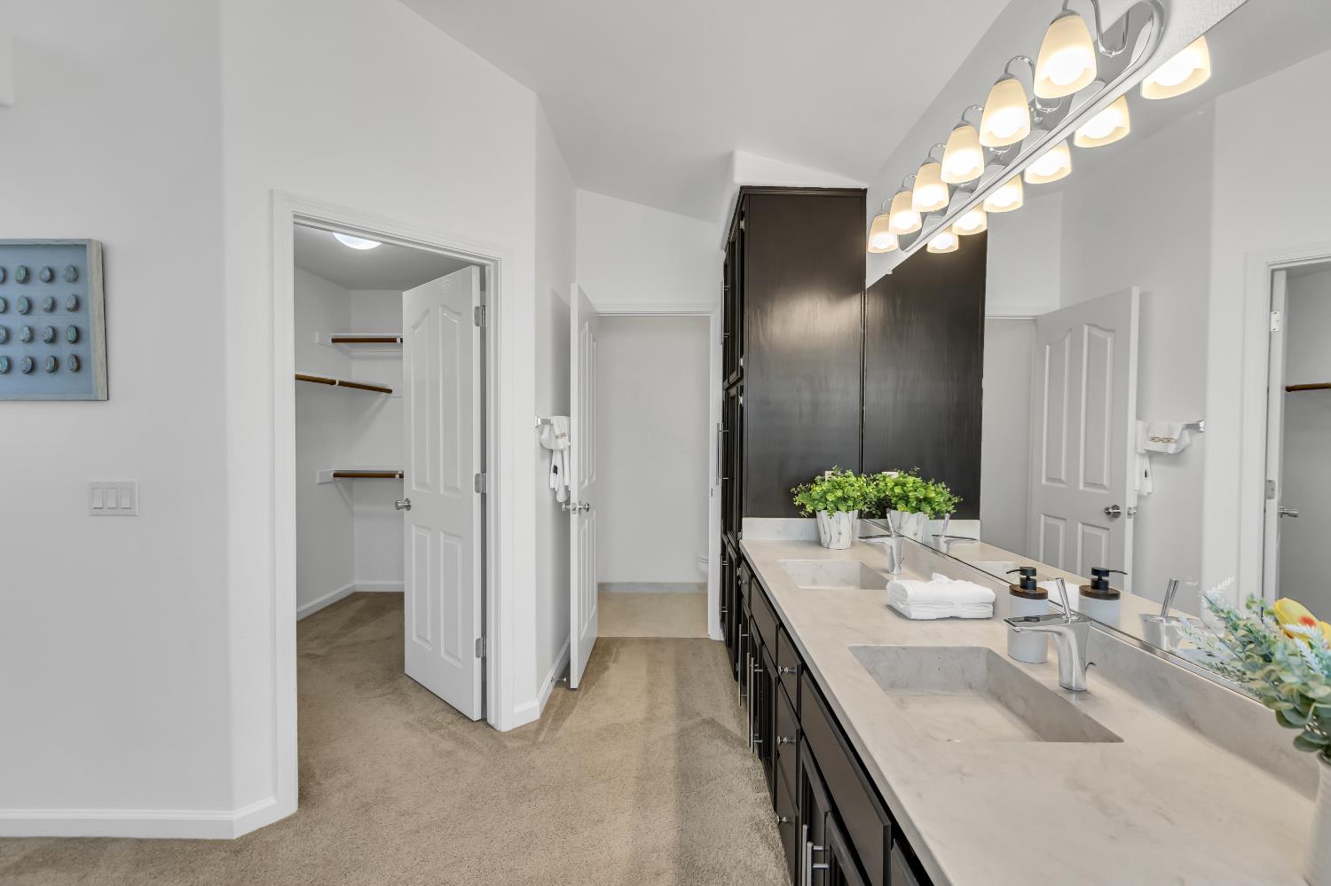 8746 SHASTA LILY Drive