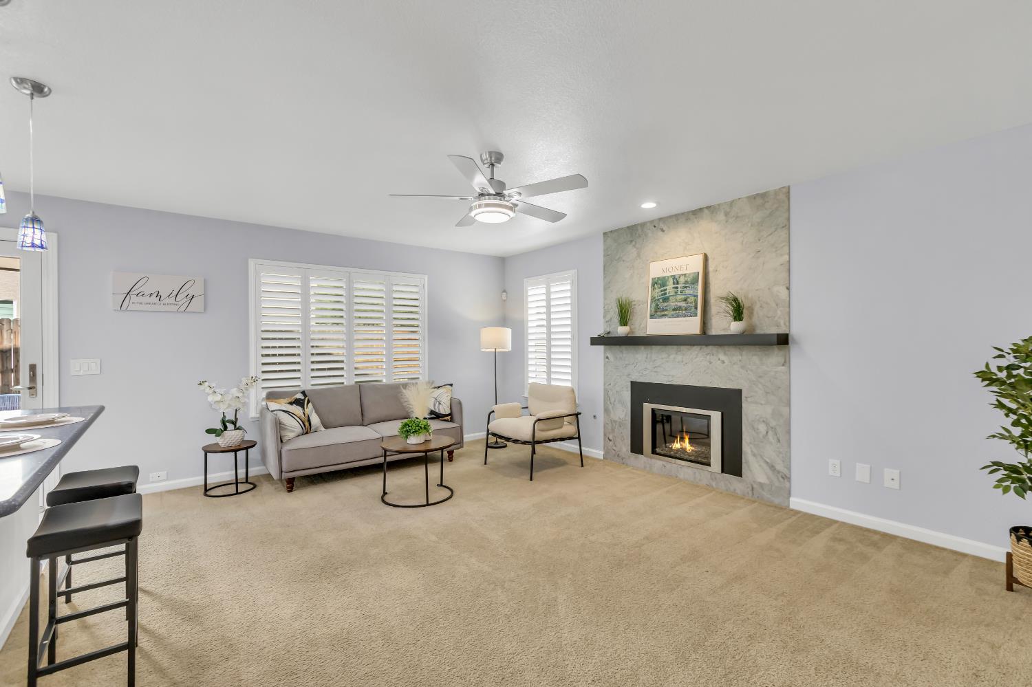 8746 SHASTA LILY Drive