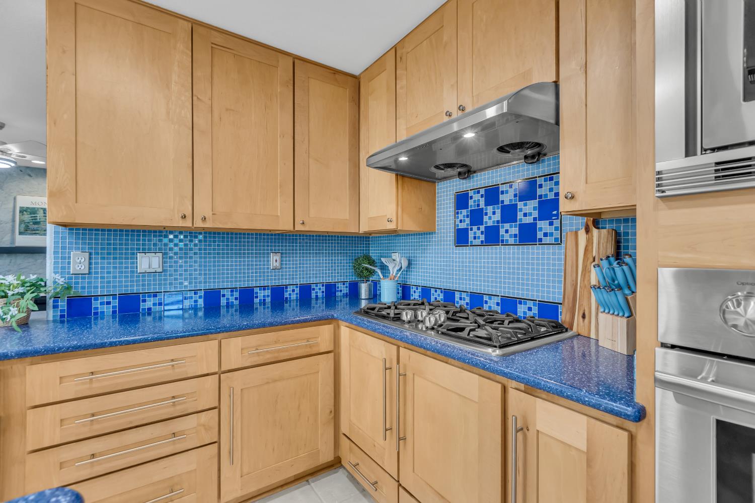 8746 SHASTA LILY Drive