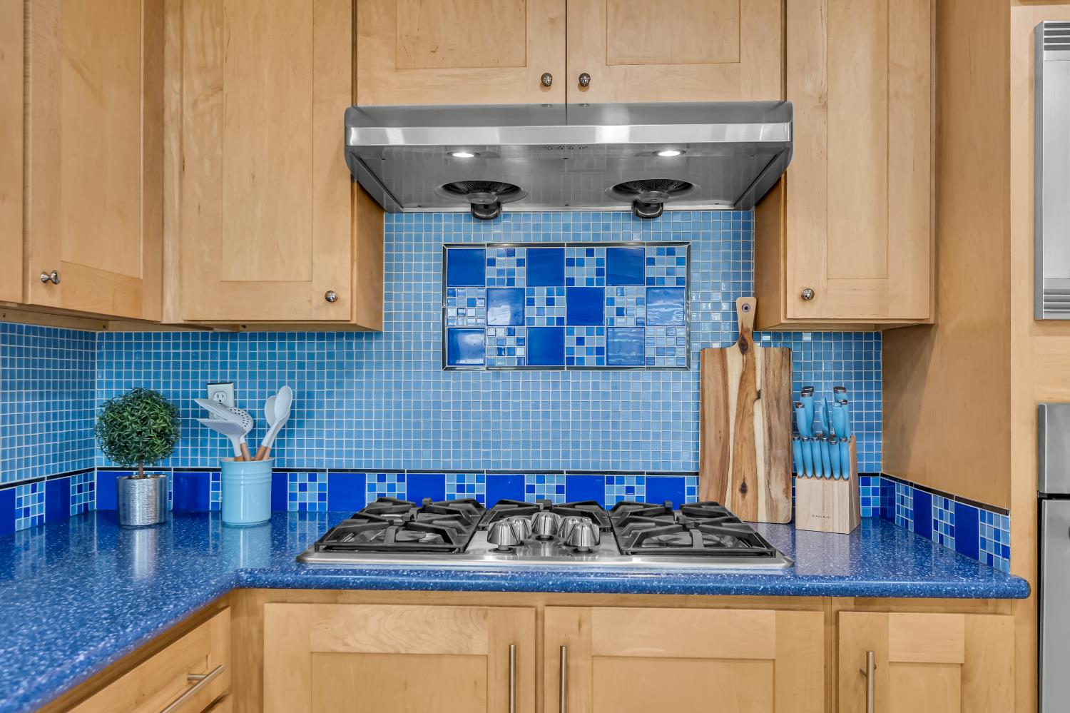 8746 SHASTA LILY Drive