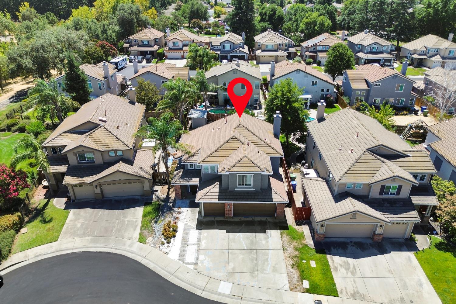 8280 Branchoak Court