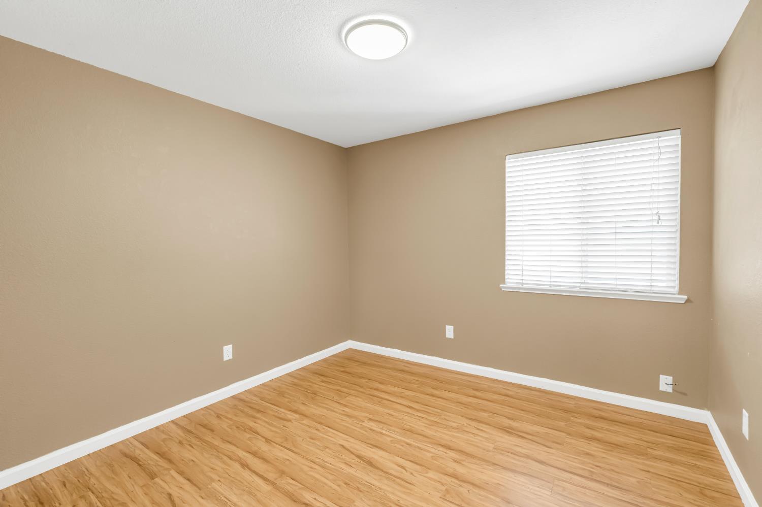 8280 Branchoak Court