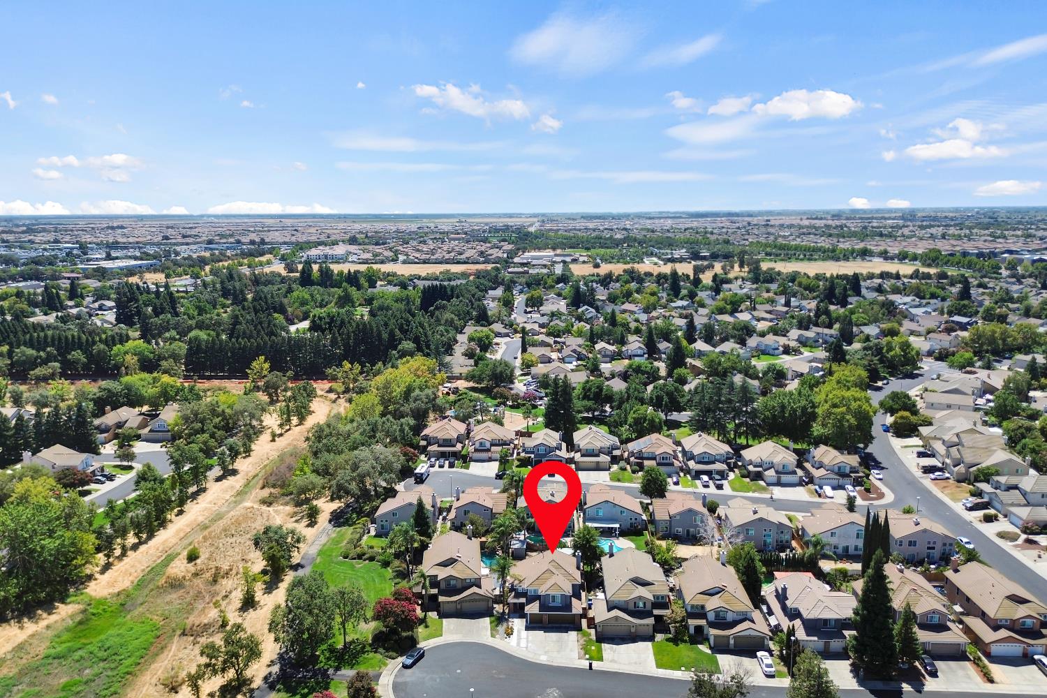 8280 Branchoak Court