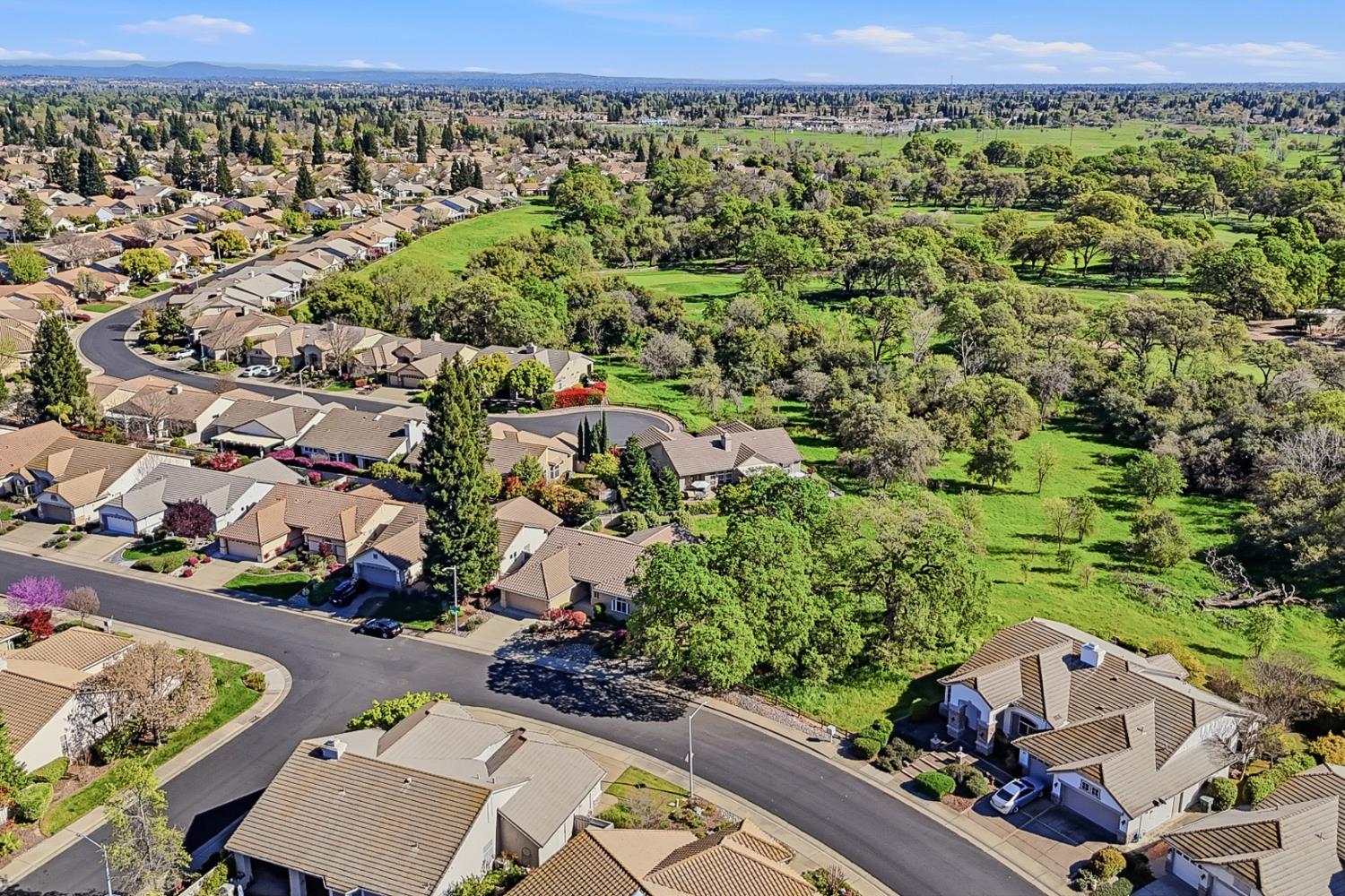 701 Rose Creek Court