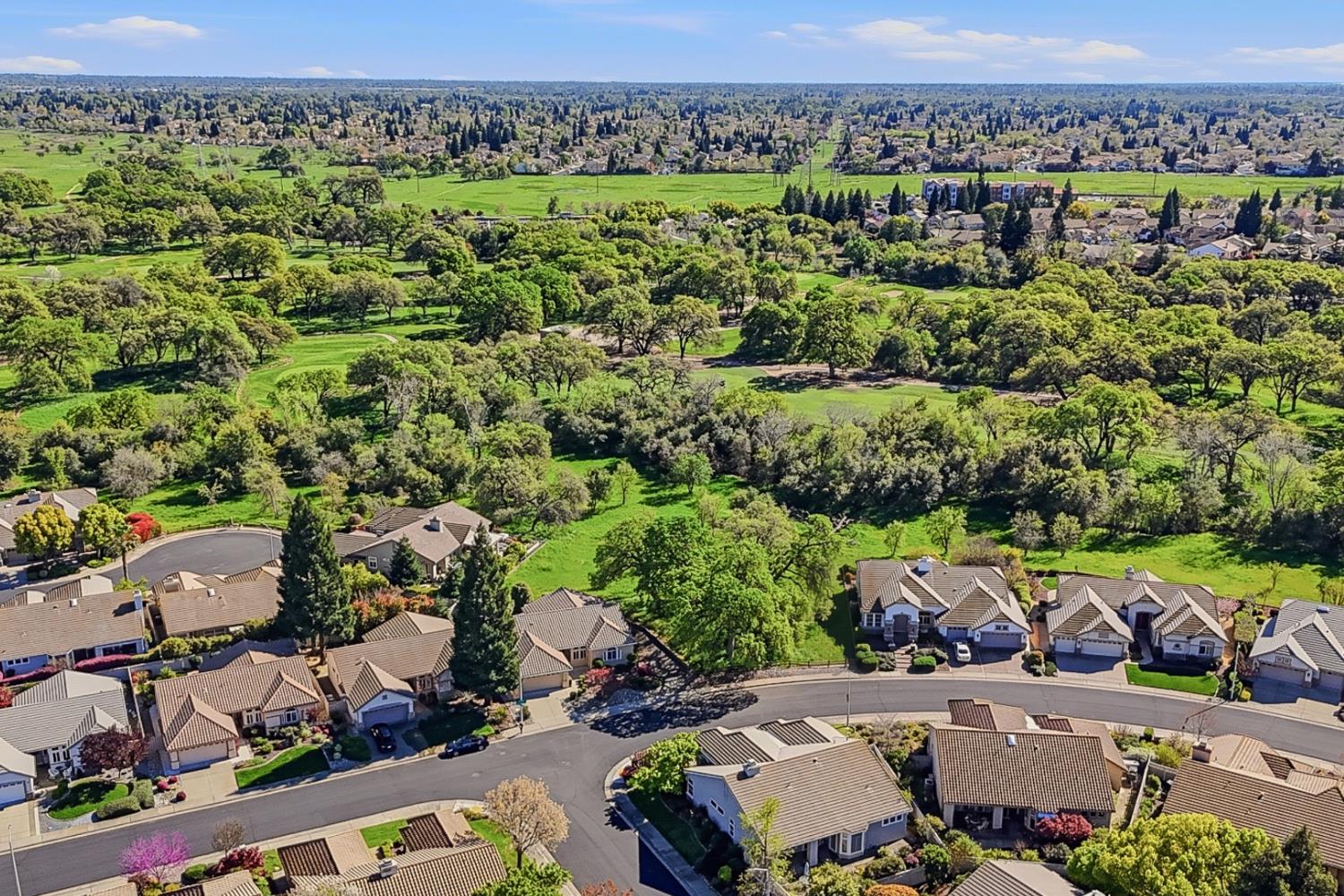 701 Rose Creek Court