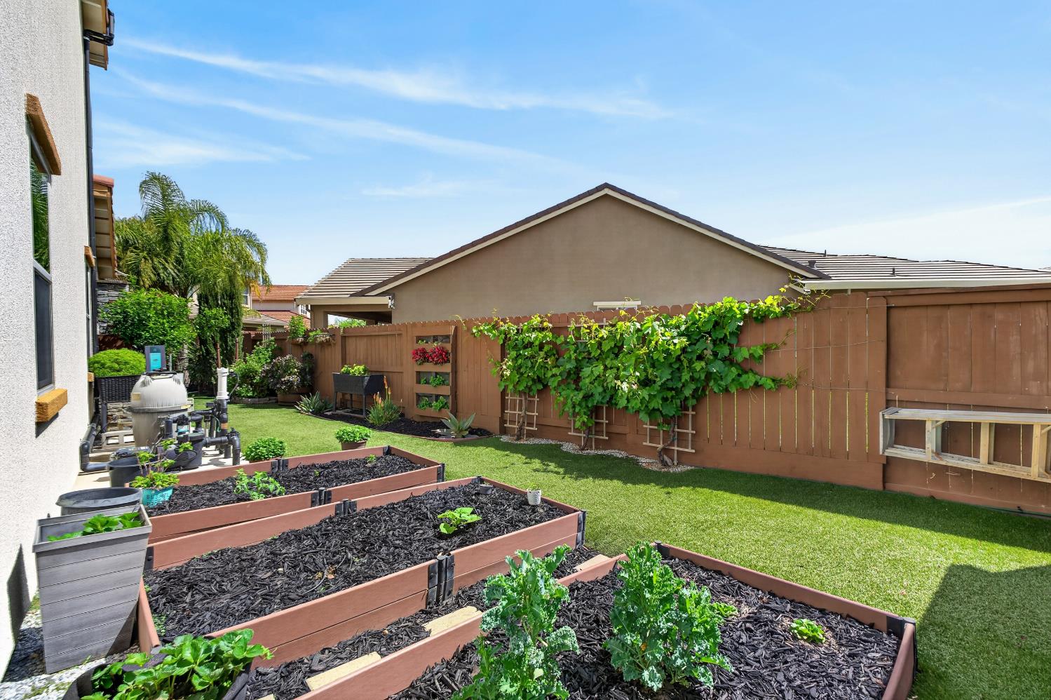 9331 Coral Bell Way