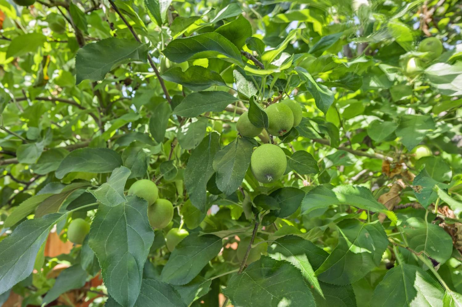 5347 Coral Creek Way