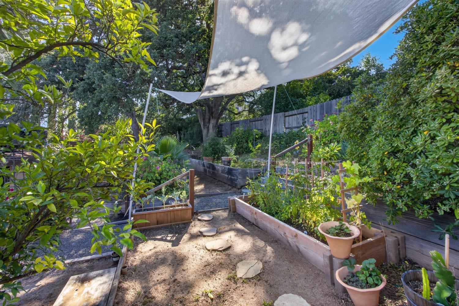 315 Diamond Oaks Road