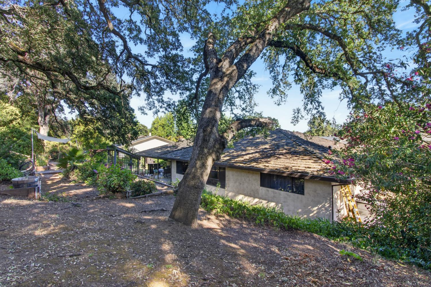 315 Diamond Oaks Road