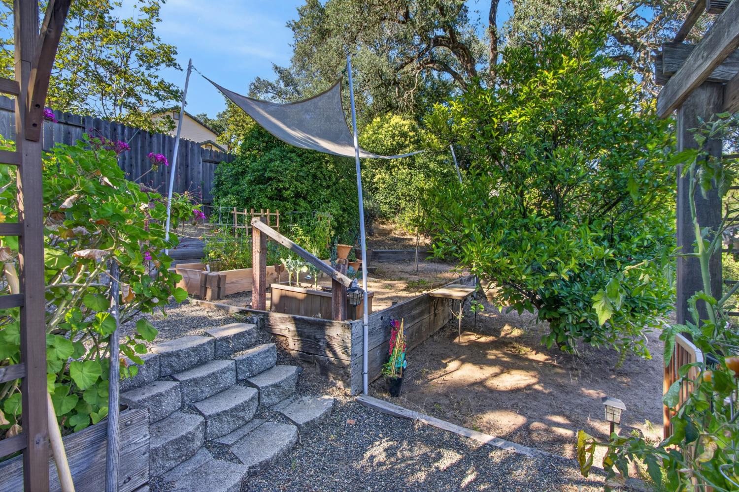 315 Diamond Oaks Road