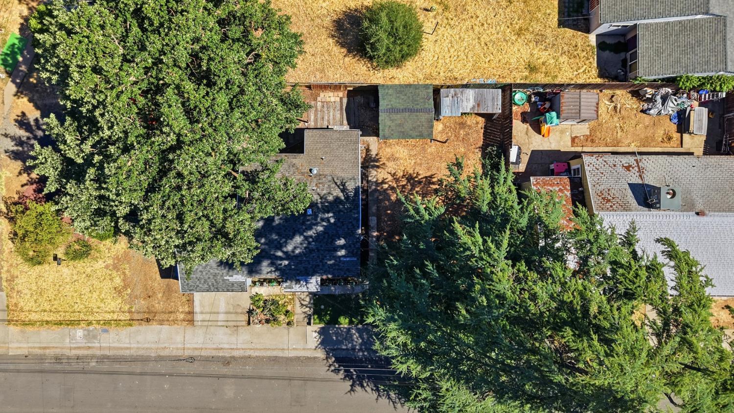 2237 Conifer Way