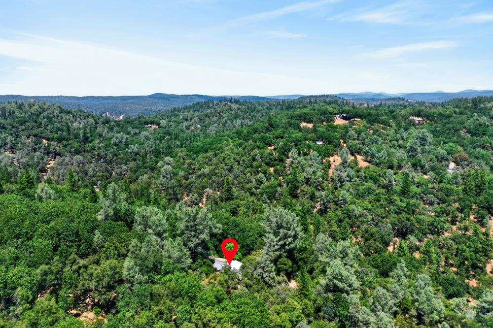 19221 Wolf Creek Road