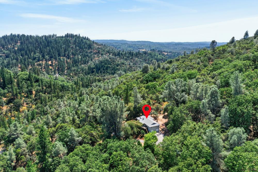 19221 Wolf Creek Road