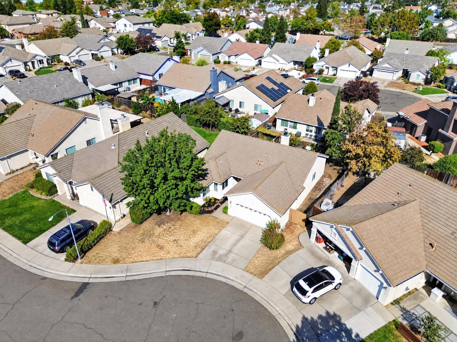 9161 Purrington Court