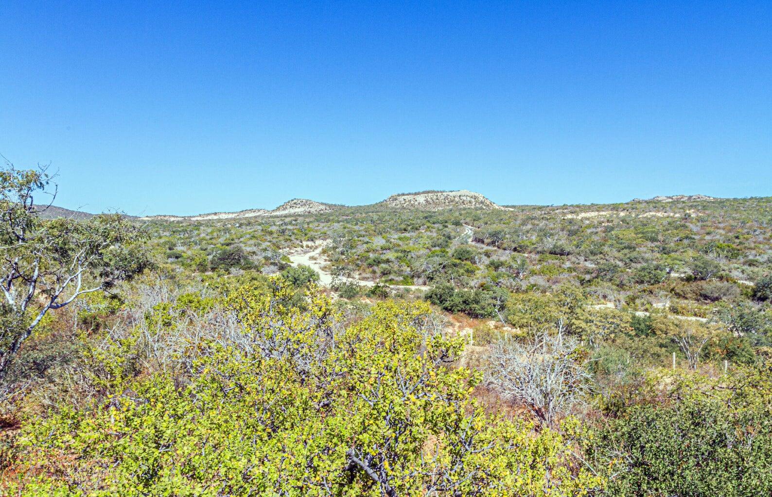 Laguna Hills Block 3 lot, Oceanview lot 6