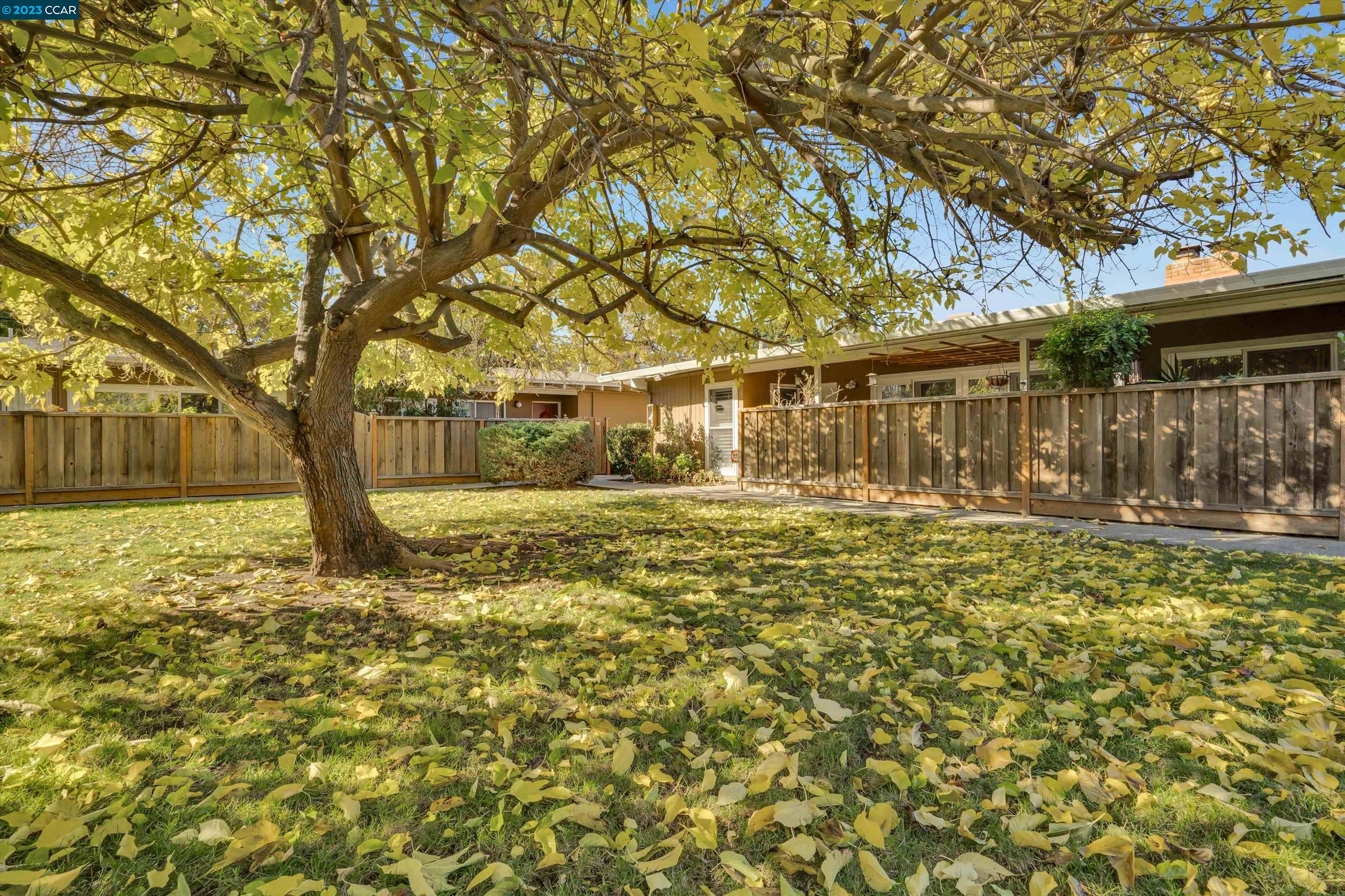 1919 Ygnacio Valley Rd # 78