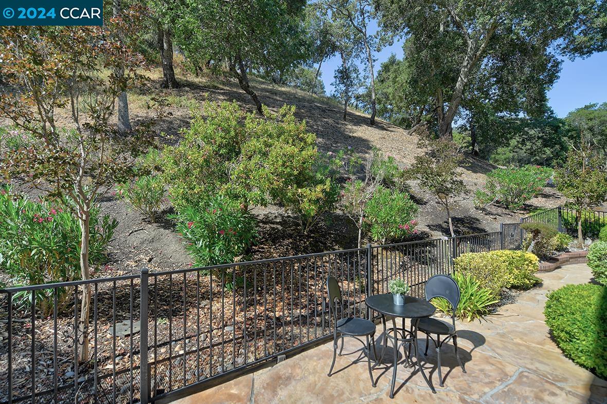 6317 Horsemans Canyon Dr