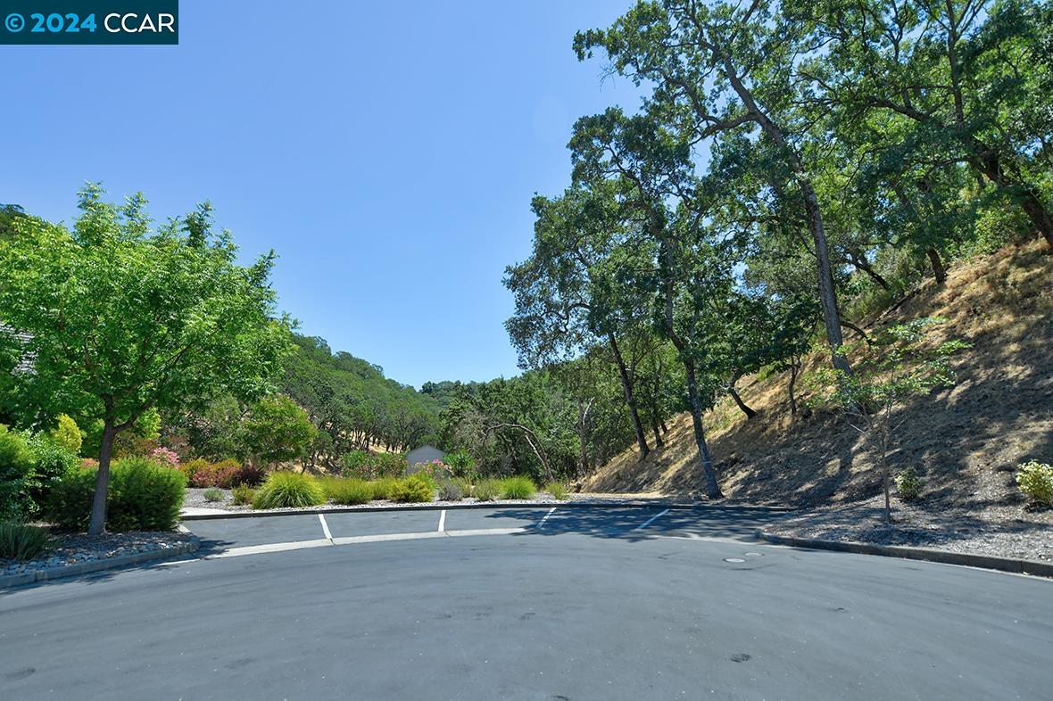 6317 Horsemans Canyon Dr