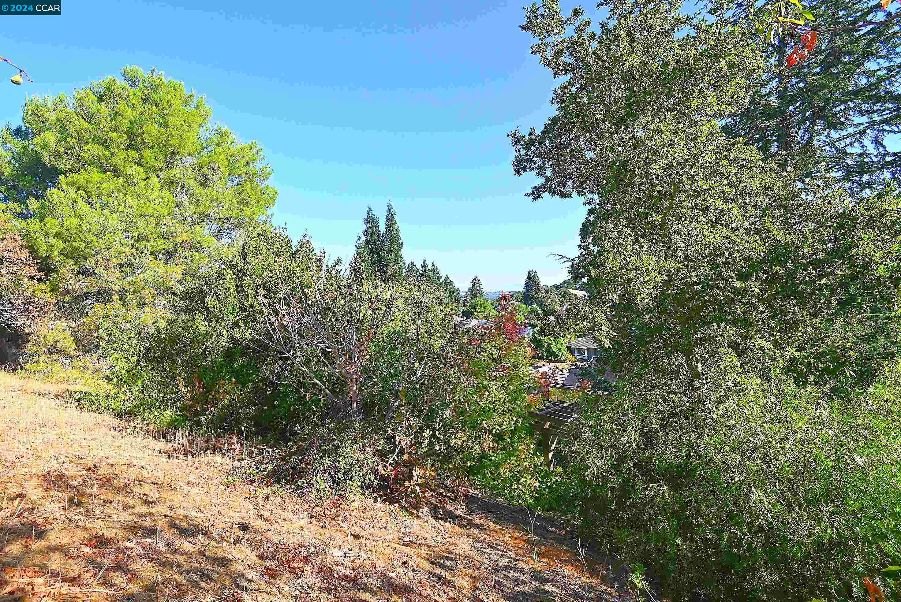 223 TIBURON CT