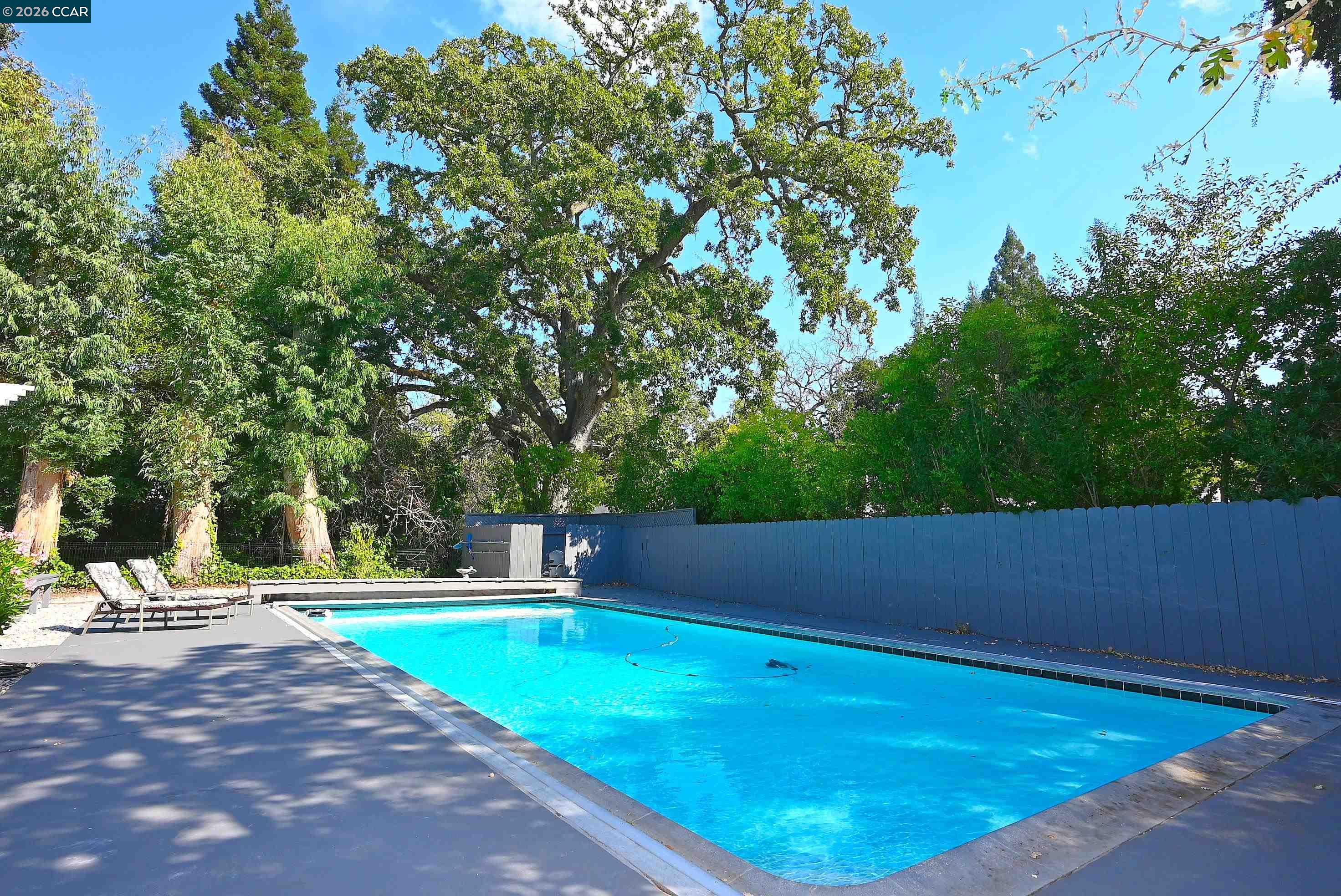 118 GLEN CT