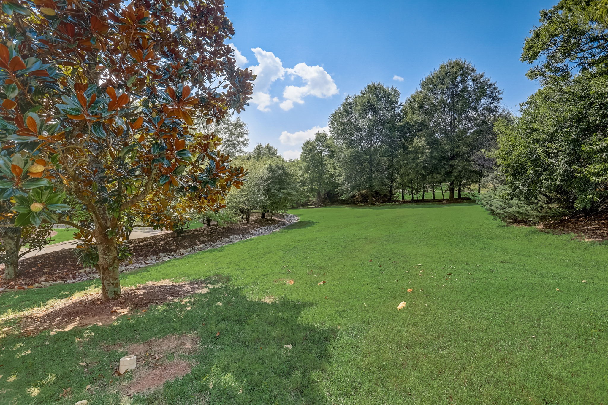 408 Treeshore Ln
