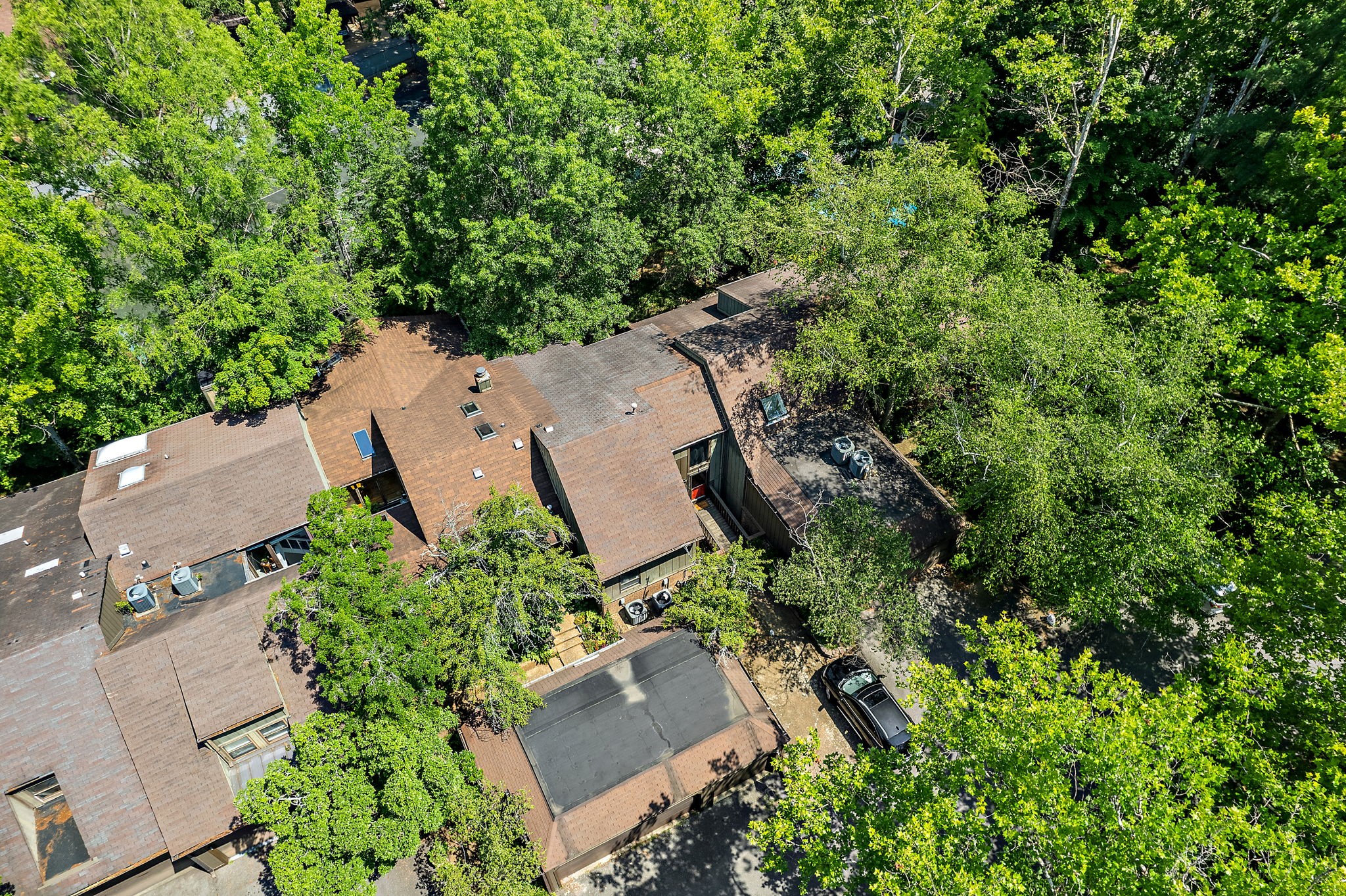 107 Holly Forest