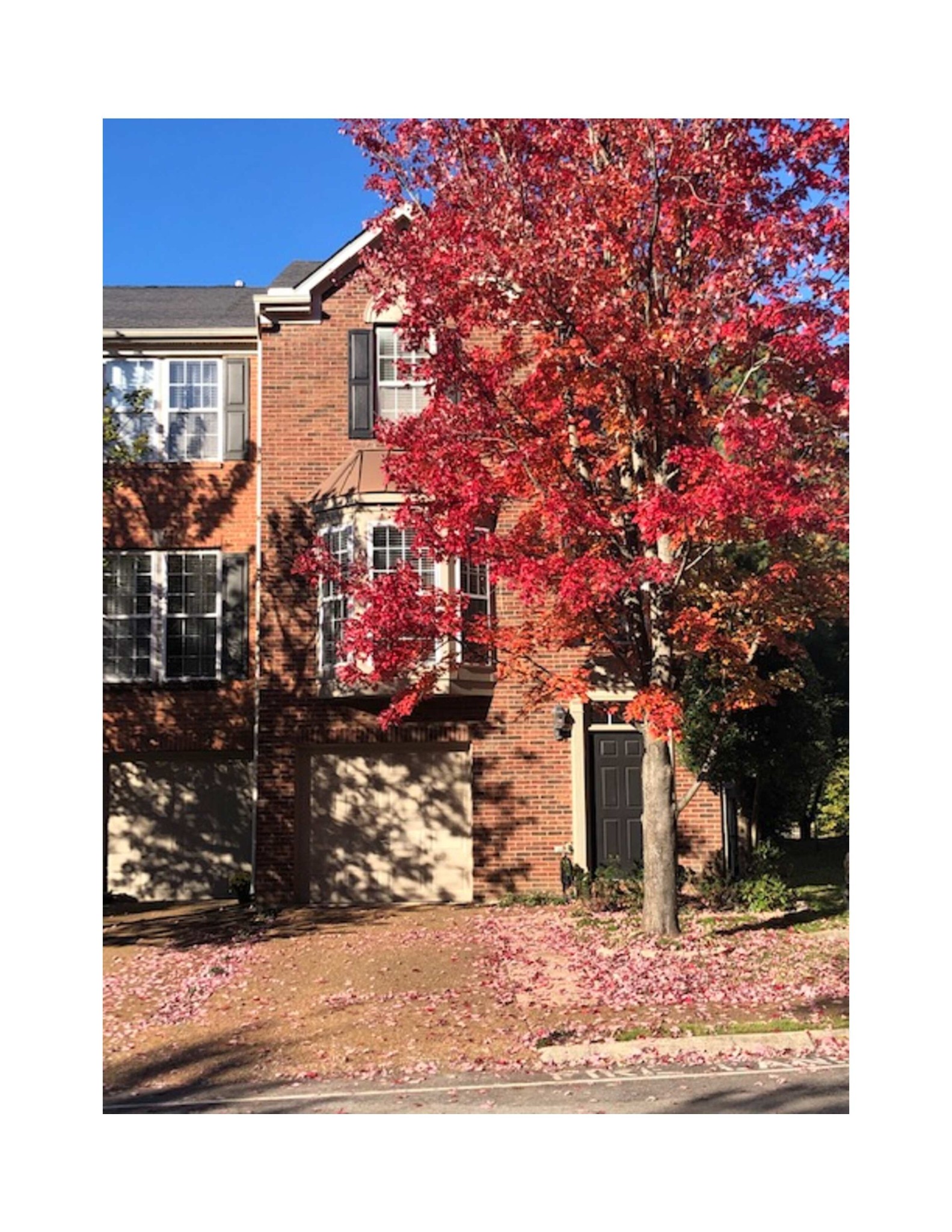 740 Huffine Manor Cir