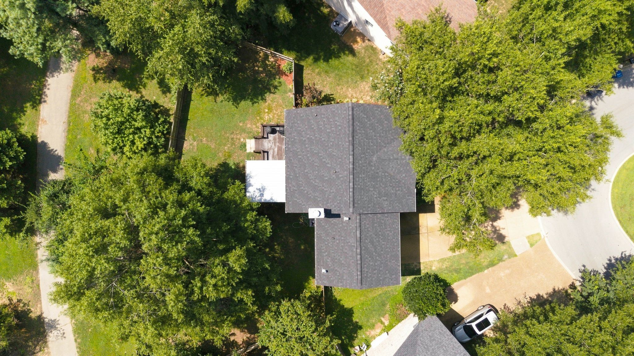 1230 Limerick Lane