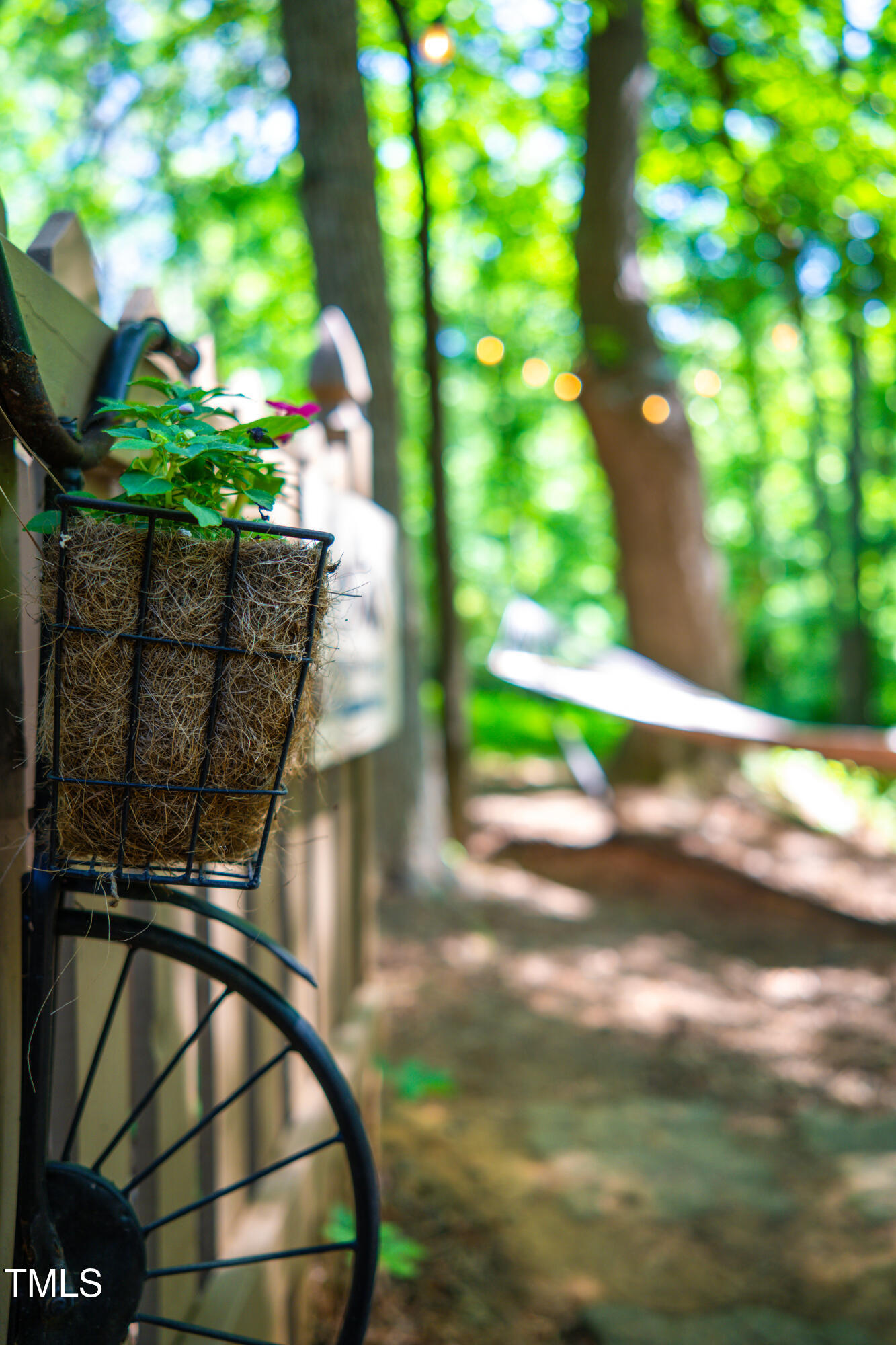 1166 Nc Highway 87 N