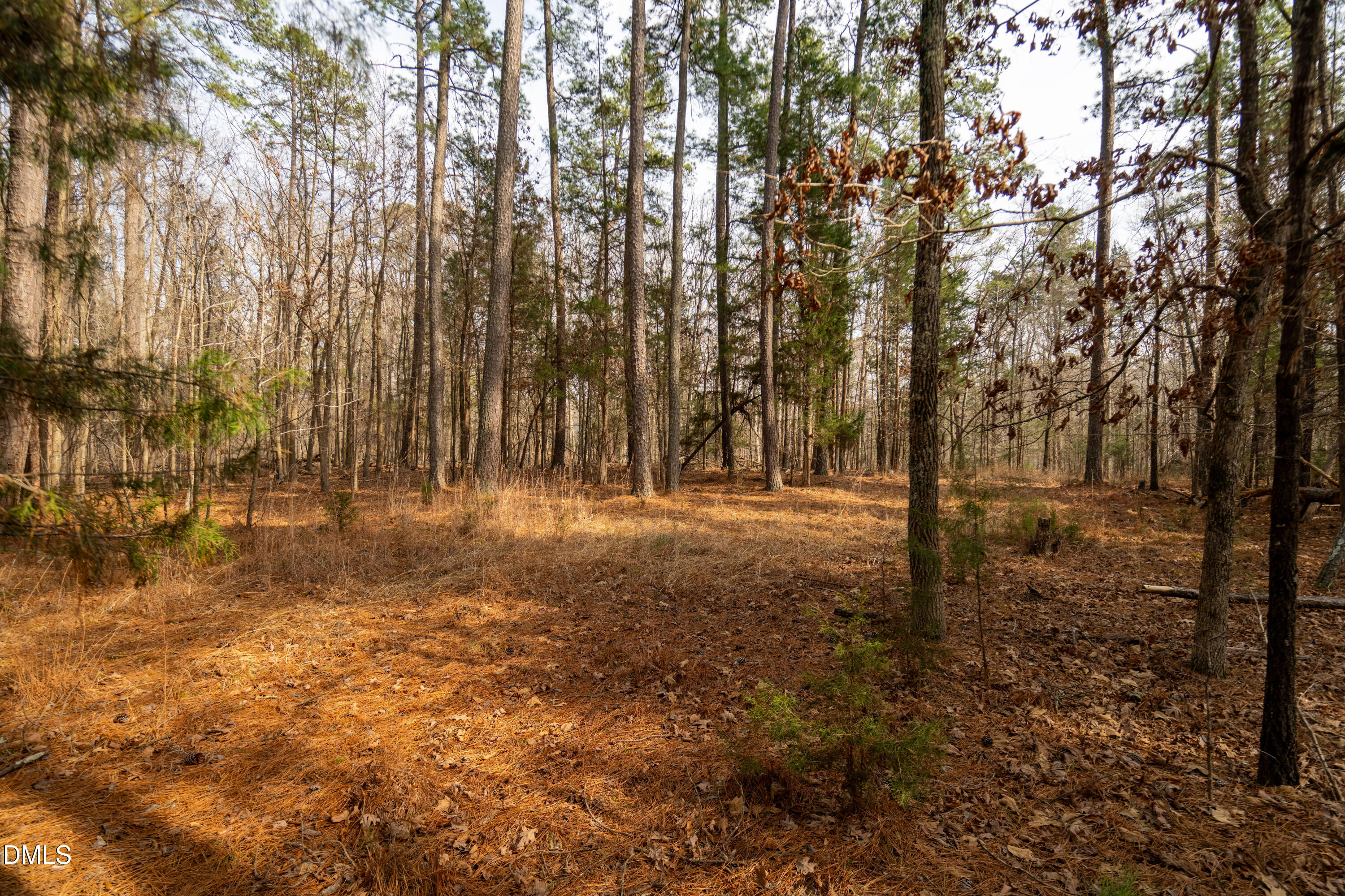 2310 Jones Ferry Road