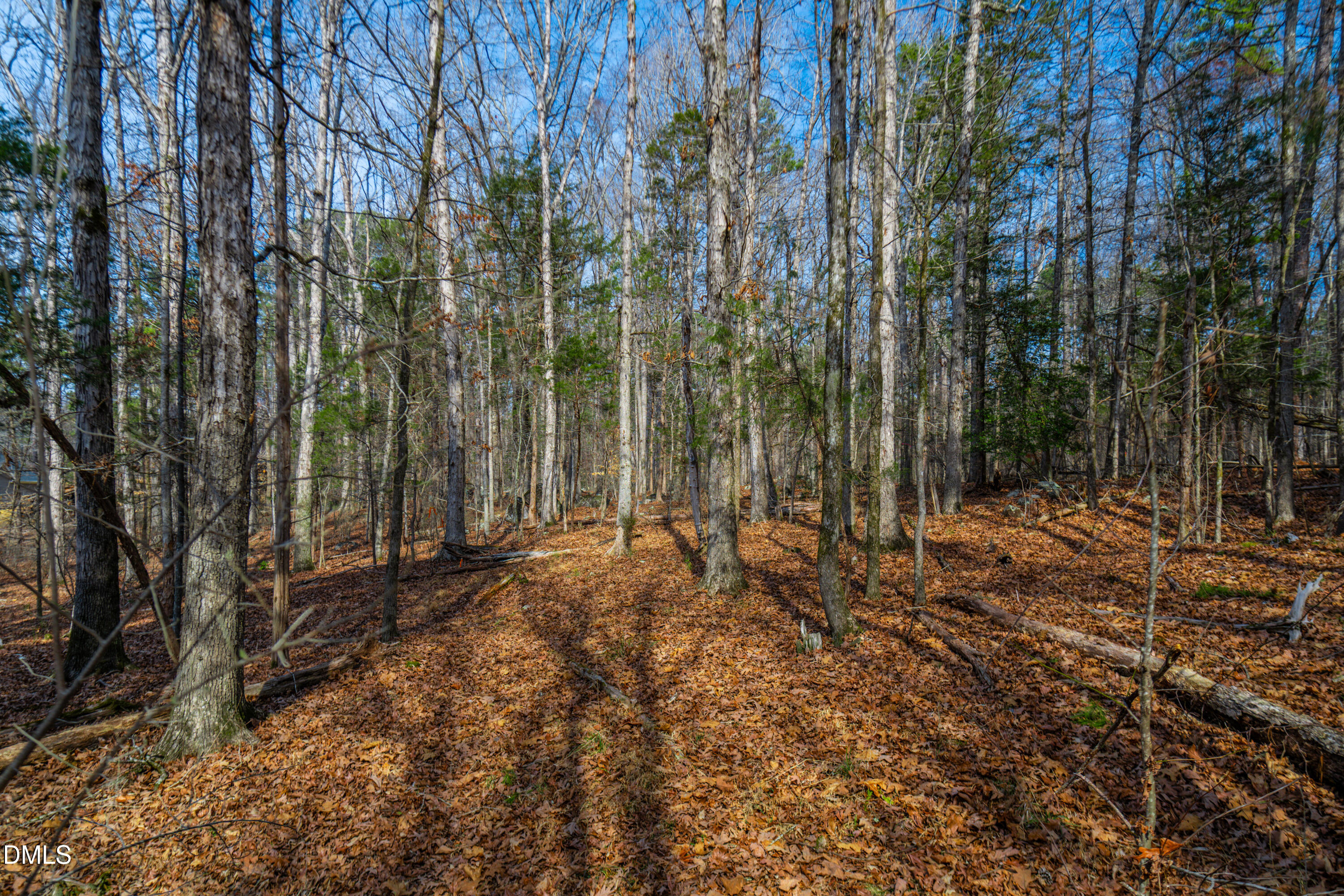 2354 Jones Ferry Road